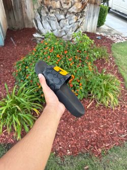 Coach Slides
