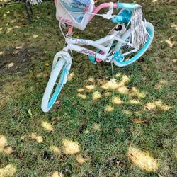 20 Inch Girl Bicycle