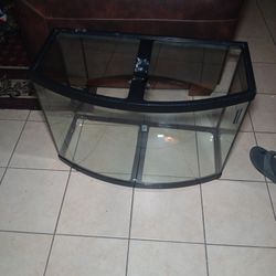 Fish Aquarium Or Terrarium Reptile