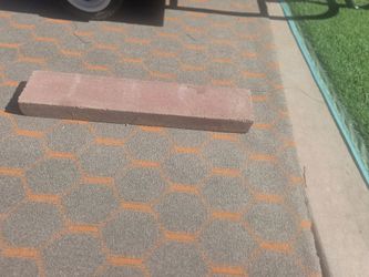 concrete paver or patio stepping stone