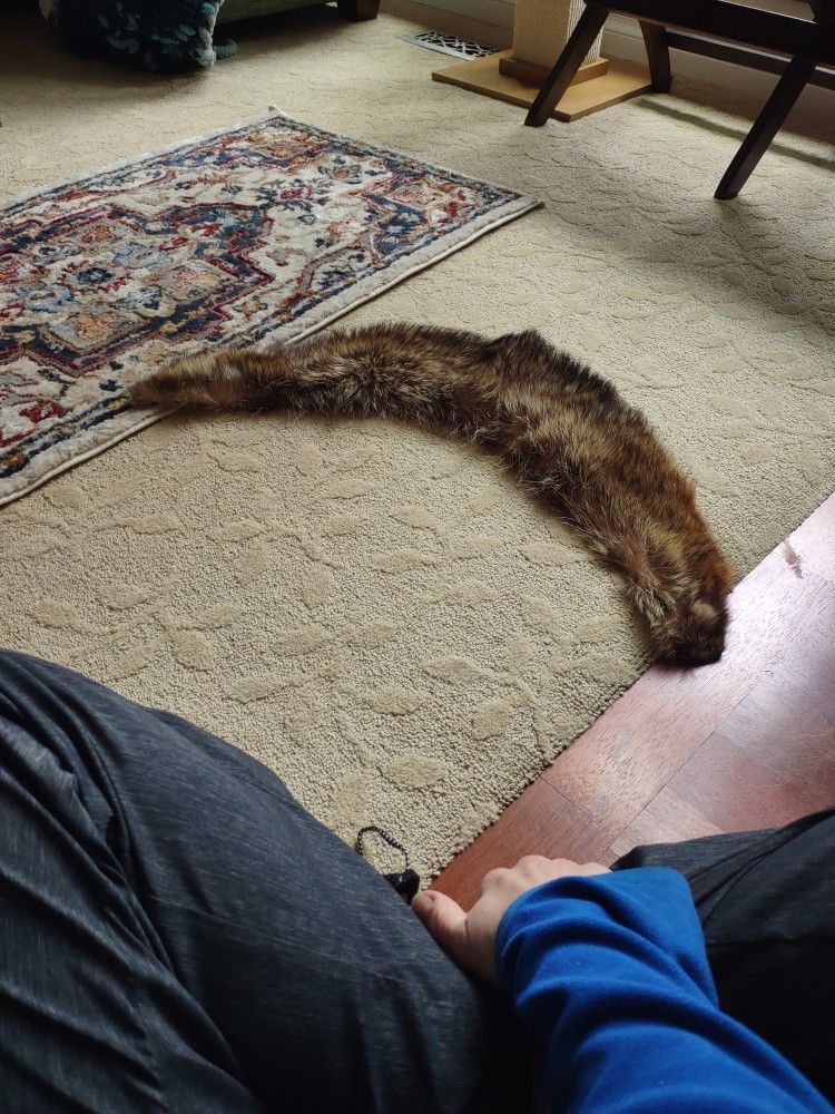 Vintage Scarf Fox? 
