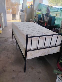 Cama