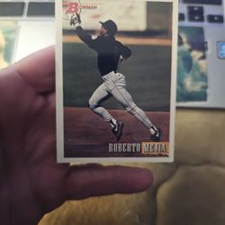 Roberto Mejia Baseball Card
