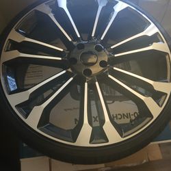22 Rims 