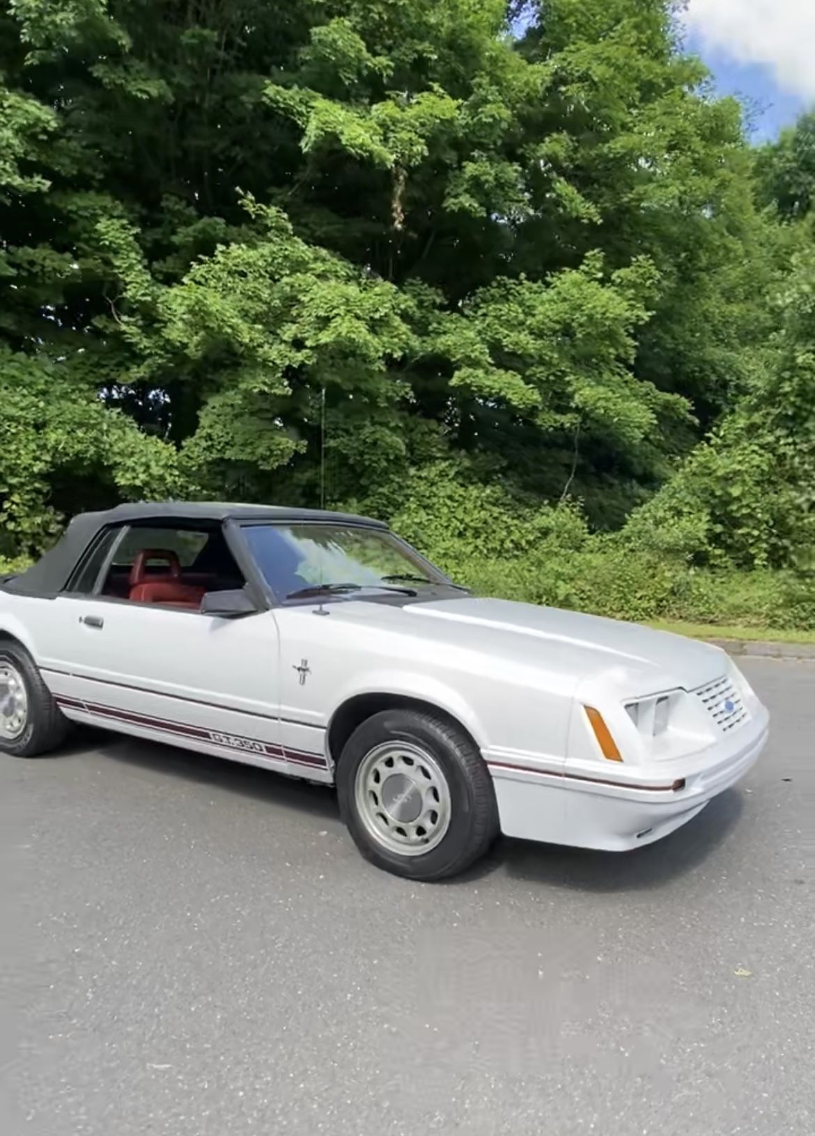 1984 Ford Mustang GT350 V8 Convertible