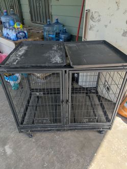 Double Dog Cage