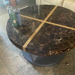 Coffee Table 4 Shelf Inserts. Missing One Peg Easy Fix..