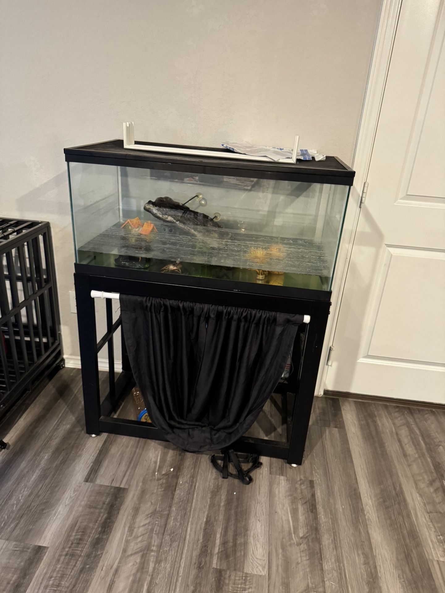 50 gallon turtle tank with mesh top and 50 gallon stand