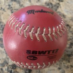 Fastpitch Softball Weighted Training Balls