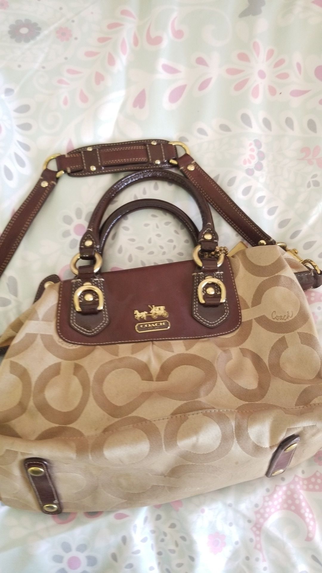 bolsas