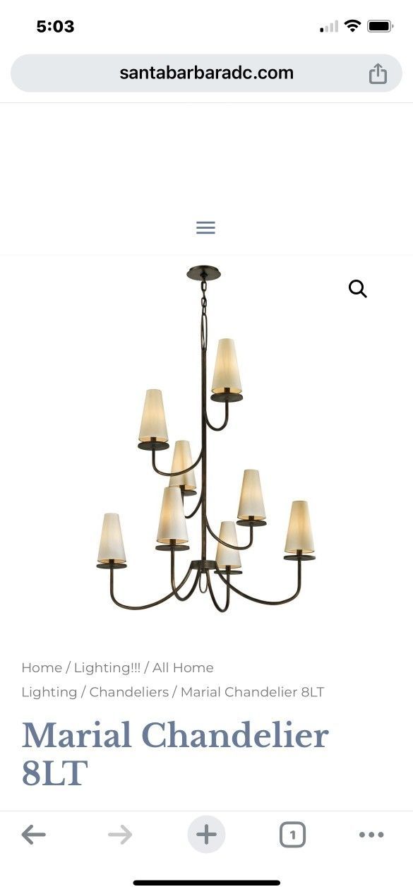 Light Fixture Iron Chandelier