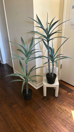 Artificial Yucca Tree Plants Set of 2