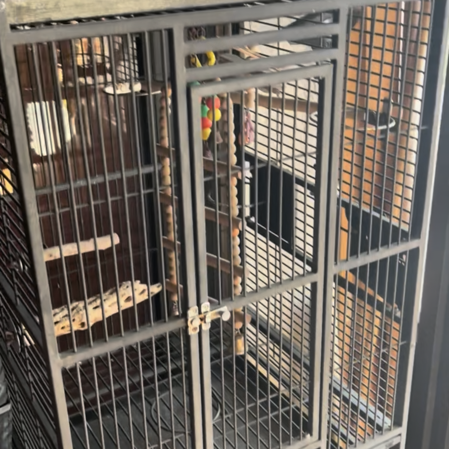 Bird Cage