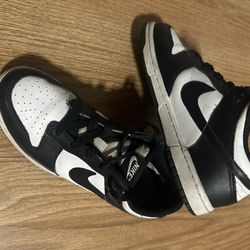 Nike Kids Dunks
