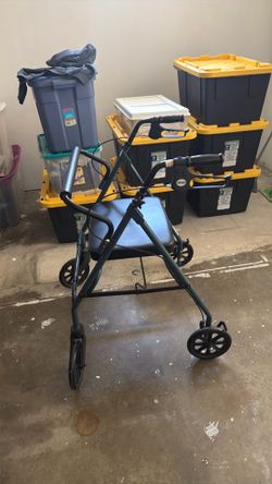 Adult walker