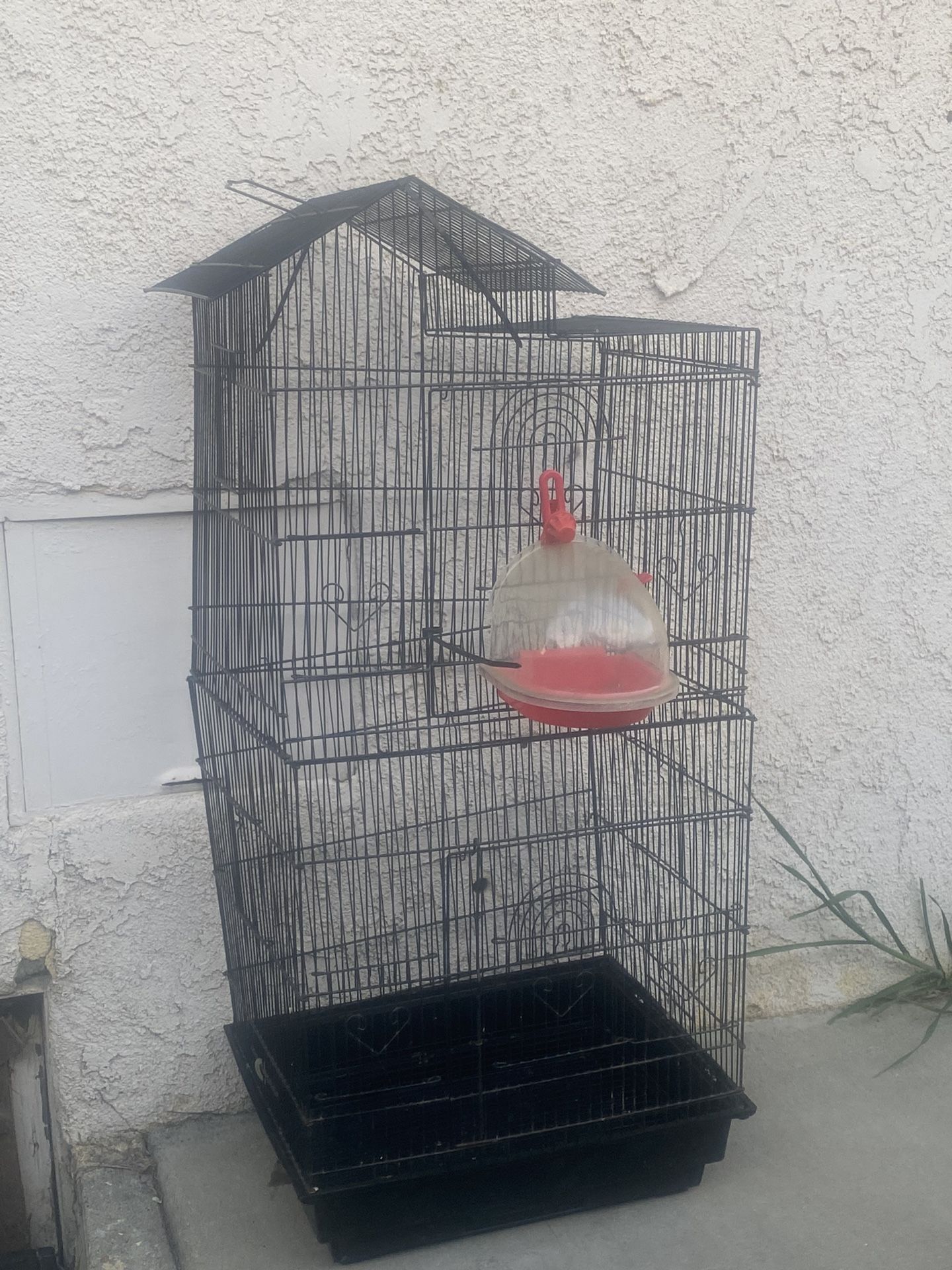 Birdcage