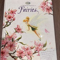 Disney’s The Hidden Works Of Fairies. Used Book 