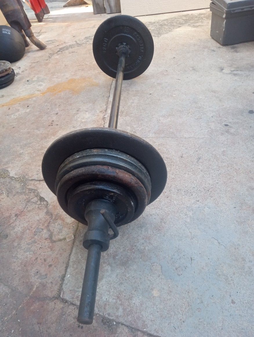 WEIGTHS  PLATES & BARBELL   120 Pounds