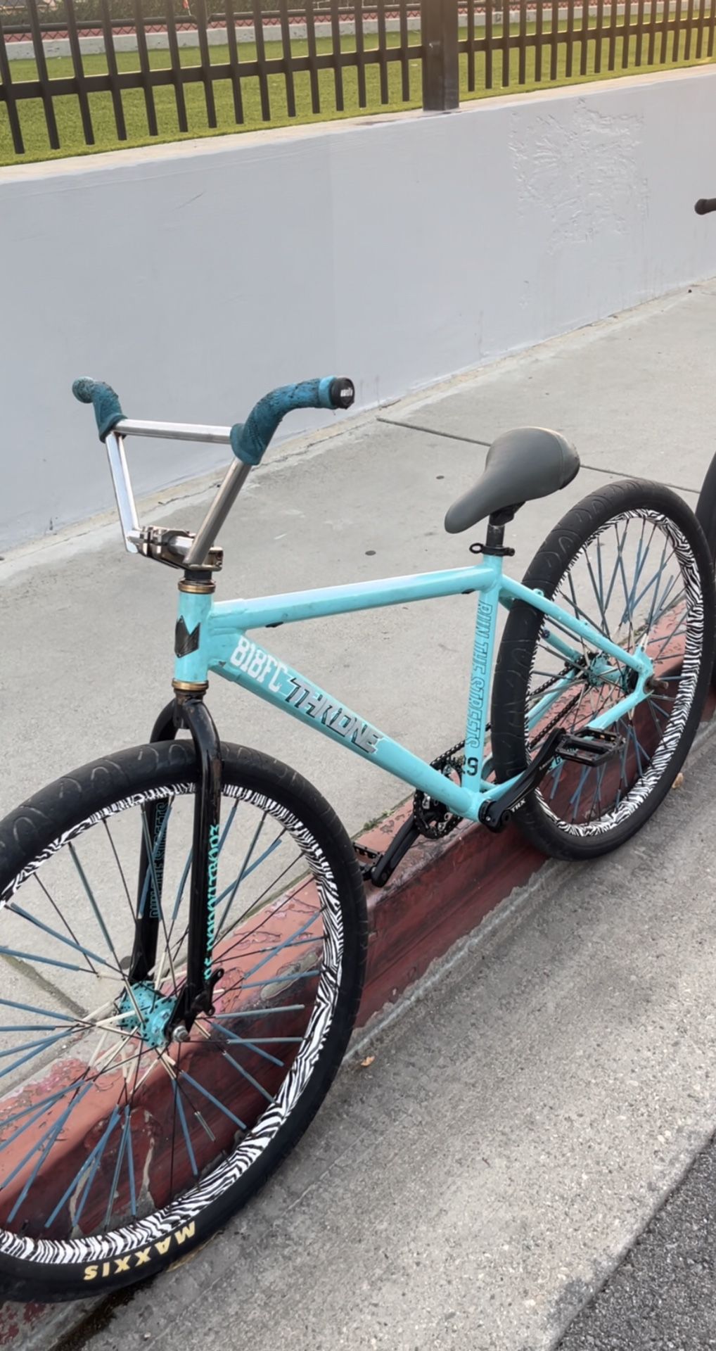 Throne 29er (CHECK DESCRIPTION)