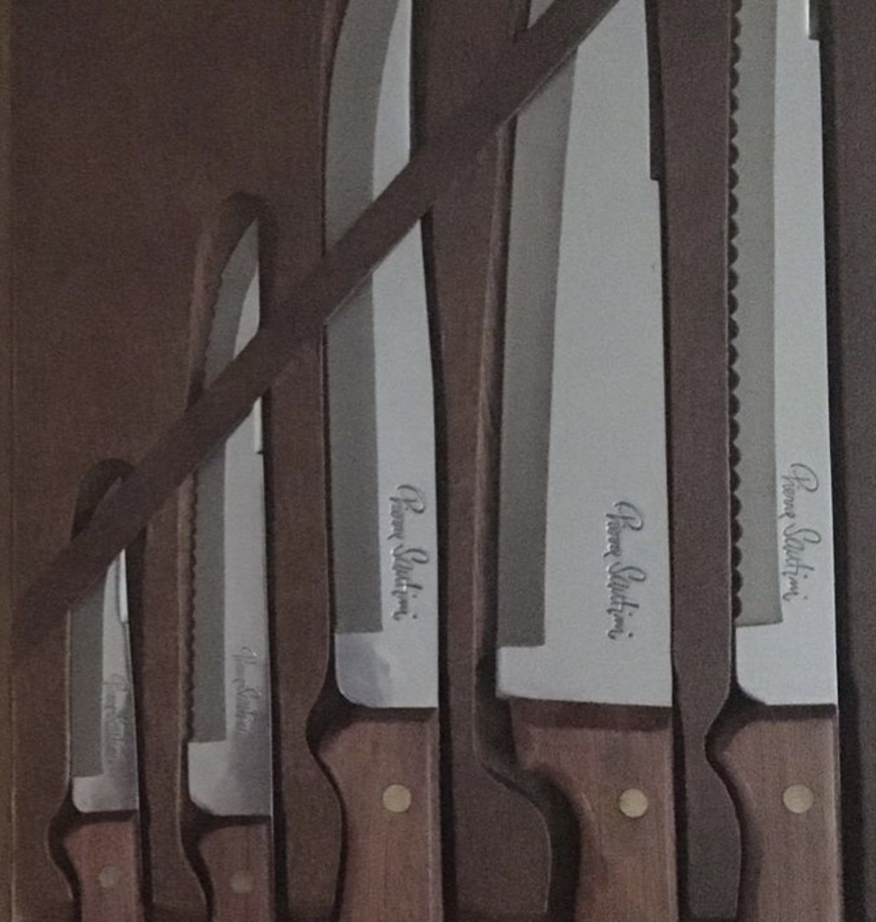 KNIFE SET 5 Piece Vintage Pierre Santini Stainless Steel