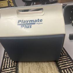 Large cooler