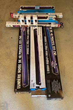 Assorted Black Lights