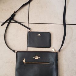 Coach Handbag Set 