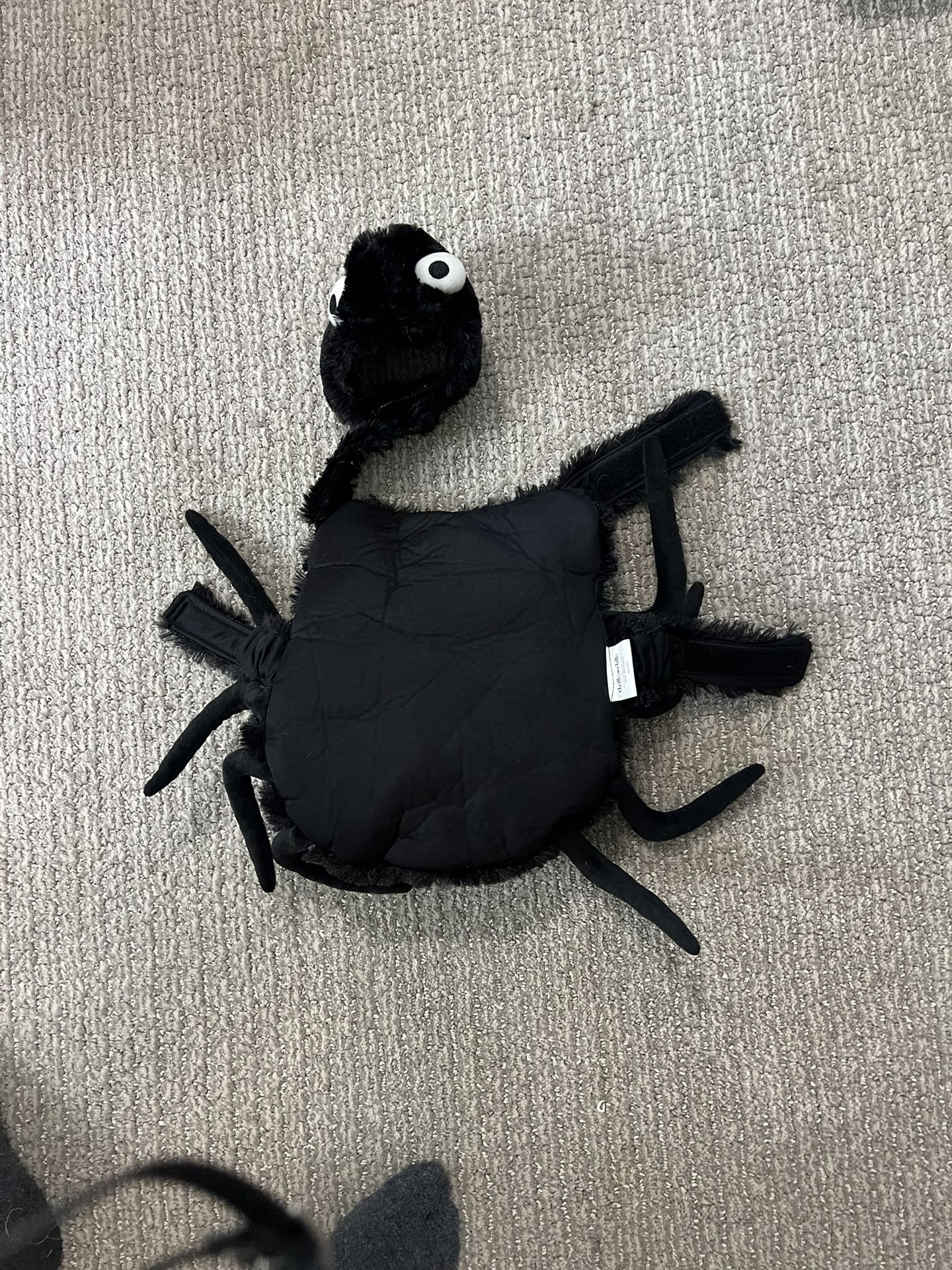 Dog Costume Small Size.