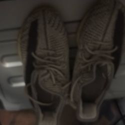 Yeezy 350 Size 8