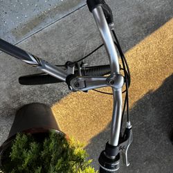 Avalon Mountain Bike