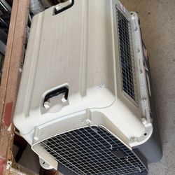 Kennel dog airlines approve up to 80 pounds dog
