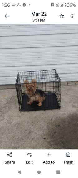 Dog cage