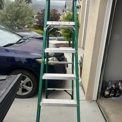 6 Ft Werner Ladder 