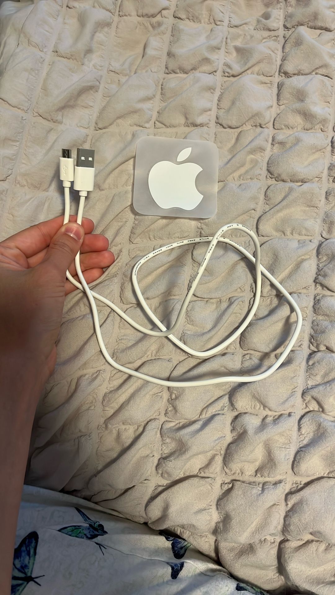 iPhone Charger