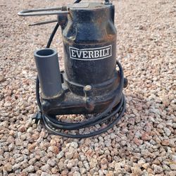 Everbilt 1/3 HP Cast Iron Submersible Sump Pump (model HDS30).