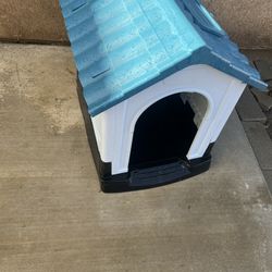 Dog House 