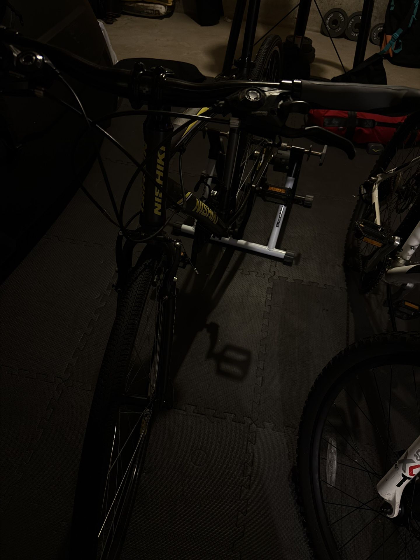 Nishiki Hybrid bike