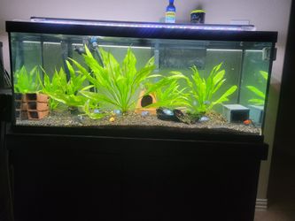 75 Gallon Aquarium