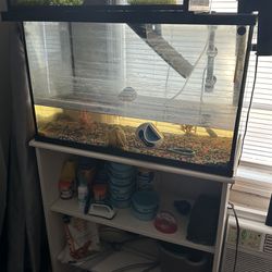 Complete Aquarium Set Up