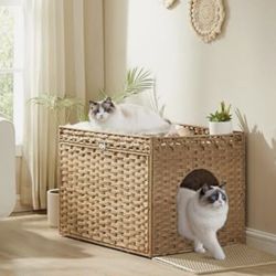 Cat Litter Box 