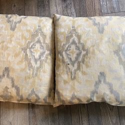 Two Throw Pillows 