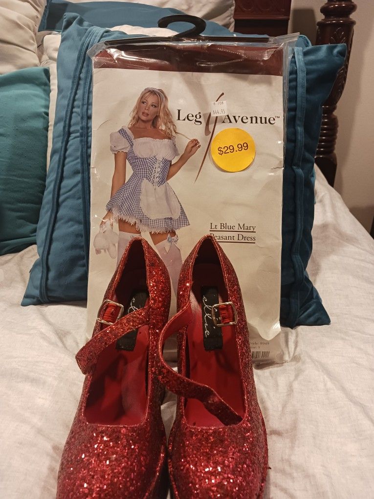Dorothy Costume With Red Shoes. Dress Is A Small Shoes Are A Size 6