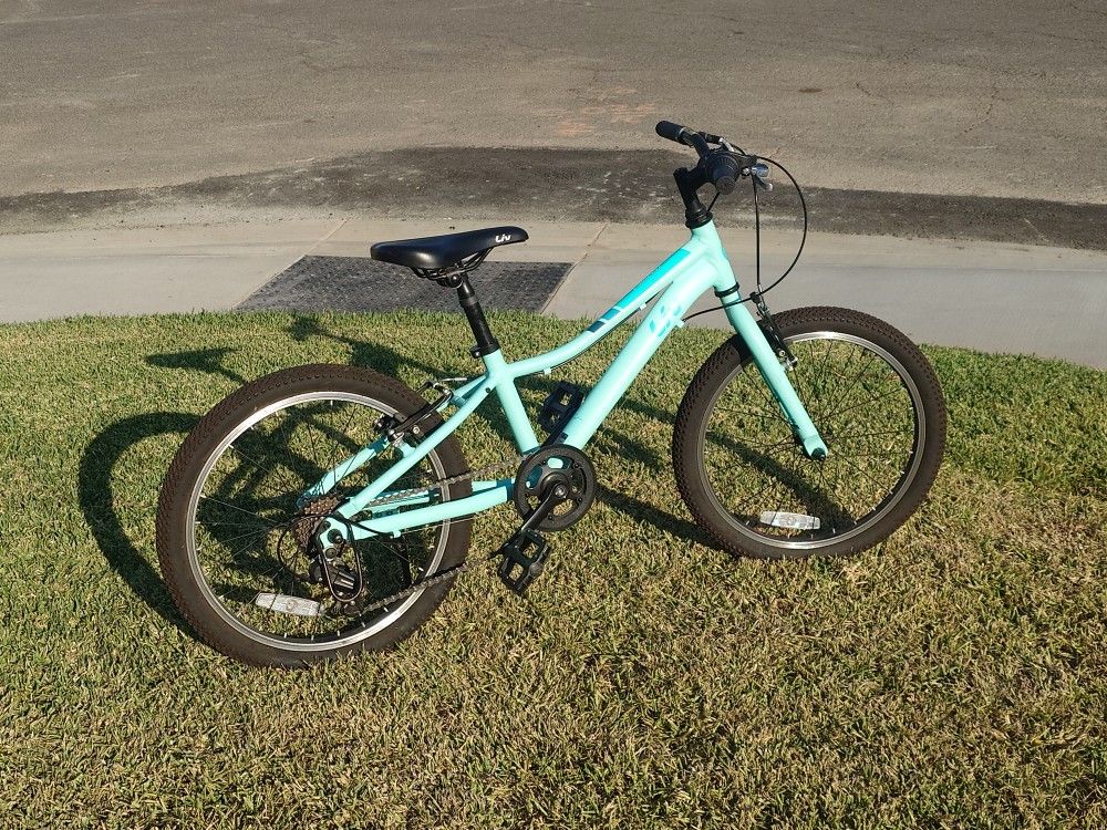 Giant Liv Enchant 20 Bicycle (Teal, speed)