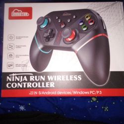 Nintendo Switch Controller 