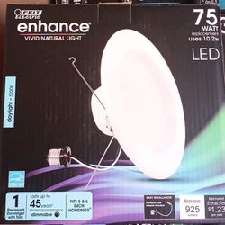 ENHANCE VIVID NATURAL LIGHT