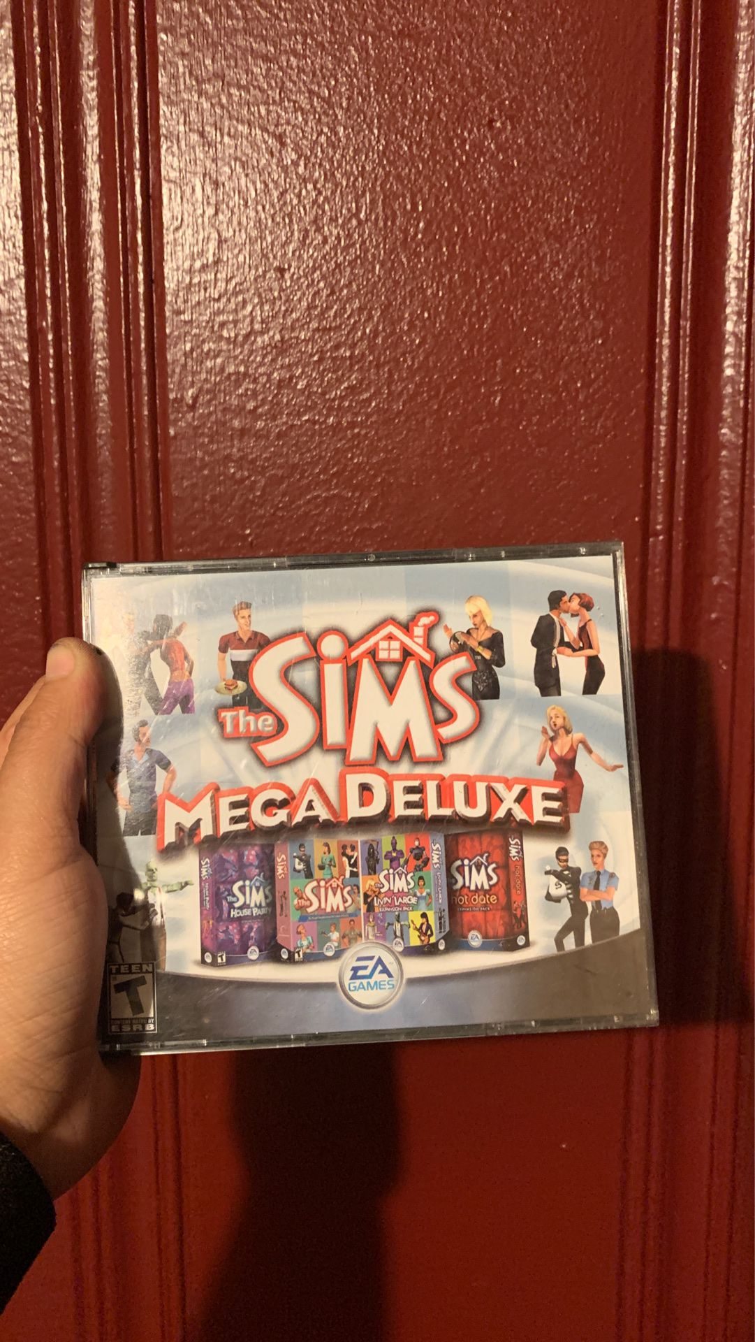 Sims PC game