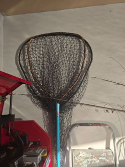 Salmon net
