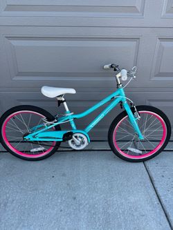 Guardian Ethos 20” bike