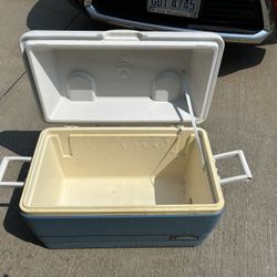 Igloo Cooler (Large)