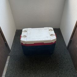 Large Cooler - Discounted 62%